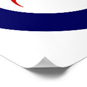 Neuseeländischer Roundel Poster (Ecke)