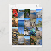 Neuseeländisches landschaftliches Kiwiana Postkarte (Vorne/Hinten)