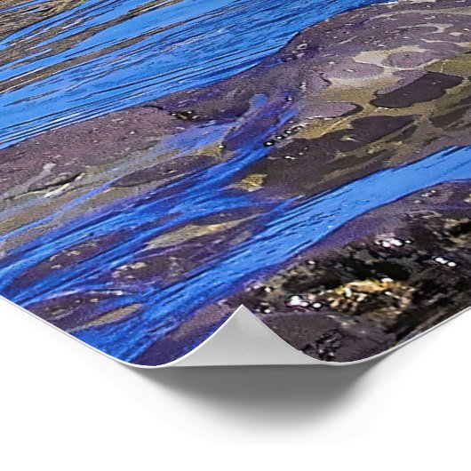 Neuseeländisches Siegel Poster (Ecke)