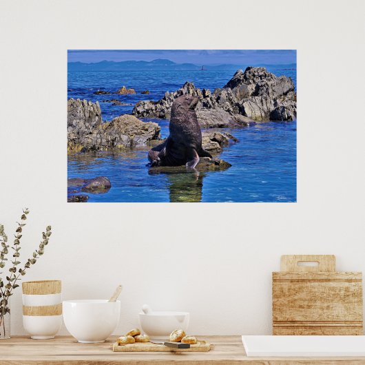 Neuseeländisches Siegel Poster (Küche)