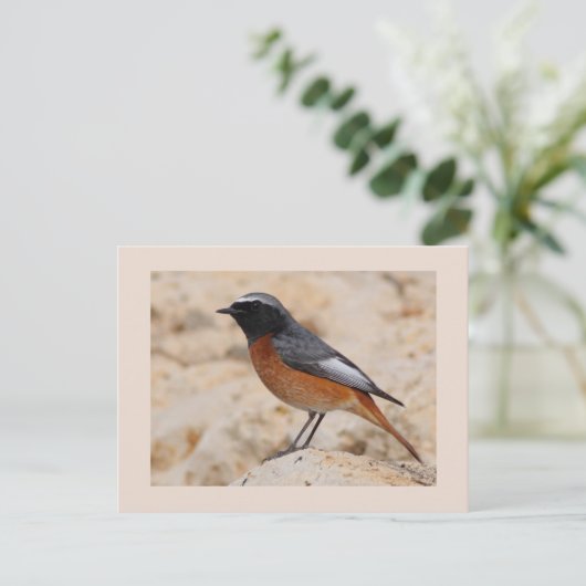 Neustarten Postkarte (Stehend Vorderseite)