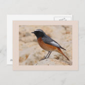 Neustarten Postkarte (Vorne/Hinten)