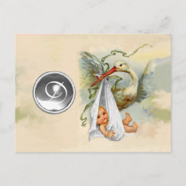 NEUTRAL WHITE STORK BABY DUSCHE GEMSTONE MONOGRAMM EINLADUNGSPOSTKARTE
