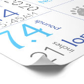 Neutrale Baby-Geburtsstadien - Schilderfuß Poster (Ecke)