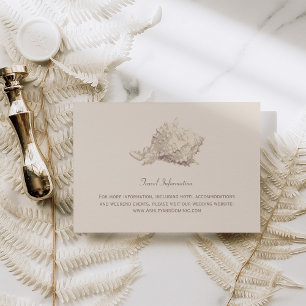 Neutrale Beige Seashell Beach Hochzeitsinformation Begleitkarte