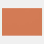 Neutrale Erdtöne Geschenkpapier Set (Vorderseite 2)