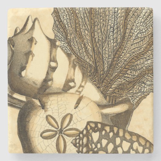 Neutrale Muscheln und korallenrote Sammlung Steinuntersetzer (Vorderseite)