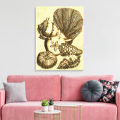 Neutrale Muscheln und Korallensammlung Leinwanddruck (Insitu (Wohnzimmer))