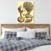 Neutrale Muscheln und Korallensammlung Leinwanddruck (Insitu (Schlafzimmer))