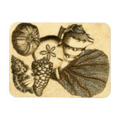 Neutrale Muscheln und Korallensammlung Magnet (Horizontal)