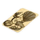 Neutrale Muscheln und Korallensammlung Magnet (Linke Seite)