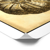 Neutrale Muscheln und Korallensammlung Poster (Ecke)