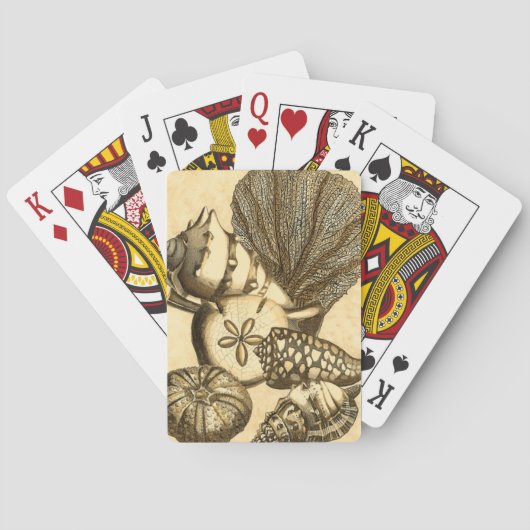 Neutrale Muscheln und Korallensammlung Spielkarten (Rückseite)