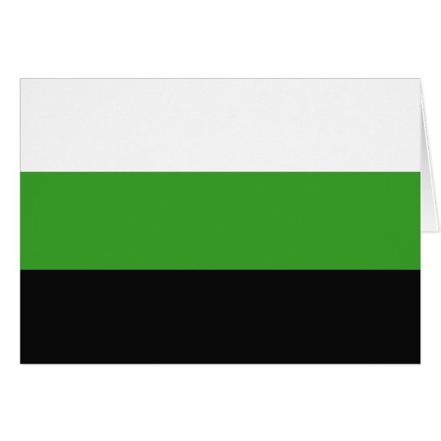 Neutrois Pride Flag (Vorderseite (Horizontal))