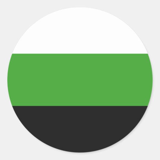 Neutrois Pride Flag Runder Aufkleber (Vorderseite)