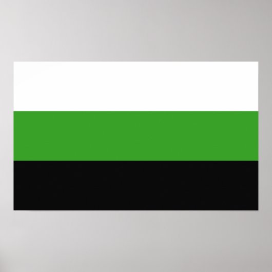 Neutrois-Pride Poster (Vorne)
