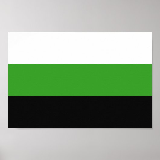 Neutrois-Pride Poster (Vorne)
