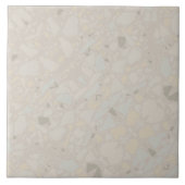 Neutronenlichtbeige, moderne, einfache Terrazzo-Wi Fliese (Vorderseite)