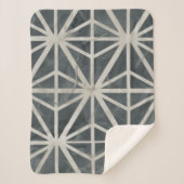 Neutronenstammlung Sherpadecke (Vorderseite)