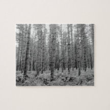 Neuwald, Pinienwald von Hampshire