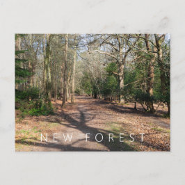 Neuwald Postkarte
