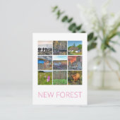 Neuwald Postkarte (Stehend Vorderseite)