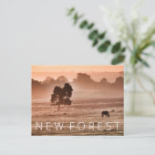 Neuwald Postkarte (Stehend Vorderseite)