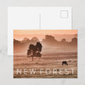 Neuwald Postkarte (Vorne/Hinten)