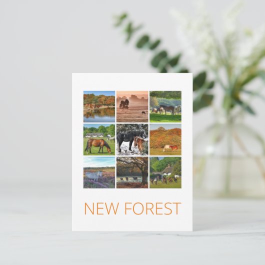 Neuwald Postkarte (Stehend Vorderseite)