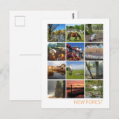 Neuwald Postkarte (Vorne/Hinten)