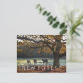 Neuwald Postkarte (Stehend Vorderseite)