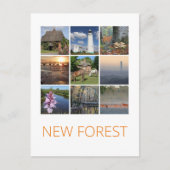 Neuwald Postkarte (Vorderseite)