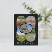 Neuwald Postkarte (Stehend Vorderseite)