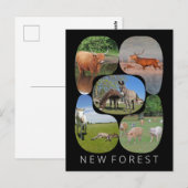 Neuwald Postkarte (Vorne/Hinten)