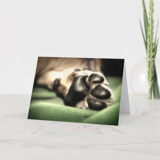 Neuzugang Karte (Vorderseite)