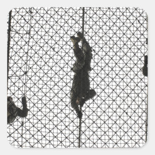 Neuzugänge, die ein Hindernis abschließen Quadratischer Aufkleber