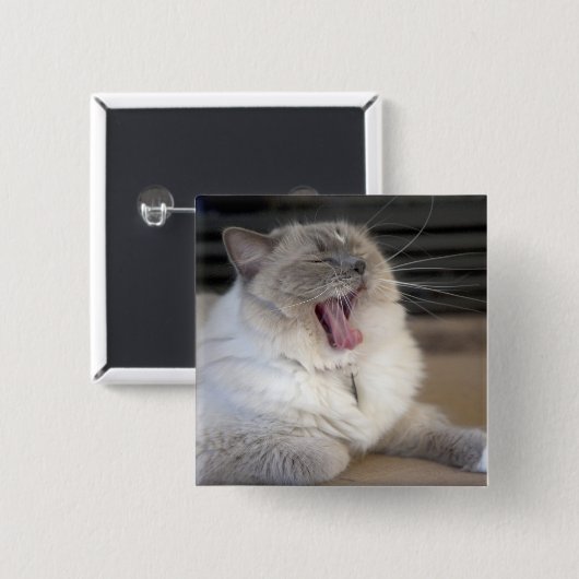 Neva Masquerade Katze gräbt Button (Vorne & Hinten)