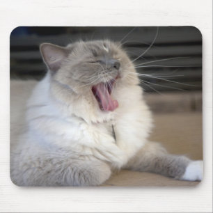 Neva Masquerade Katze gräbt Mousepad