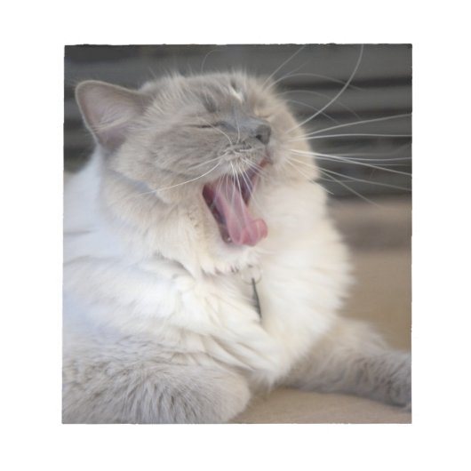Neva Masquerade Katze gräbt Notizblock (Vorderseite)