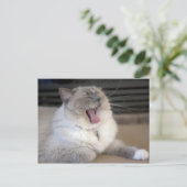 Neva Masquerade Katze gräbt Postkarte (Stehend Vorderseite)