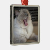 Neva Masquerade Katze gräbt Silbernes Ornament (Rechts)