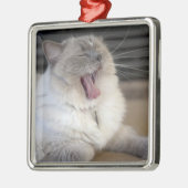 Neva Masquerade Katze gräbt Silbernes Ornament (Links)