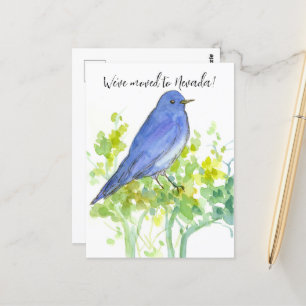 Nevada Bluebird Sagebrush Postkarte