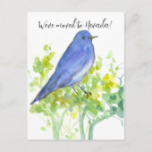 Nevada Bluebird Sagebrush Postkarte (Vorderseite)