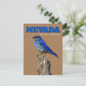 Nevada Bluebird Vertical Postkarte (Stehend Vorderseite)