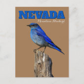Nevada Bluebird Vertical Postkarte (Vorderseite)