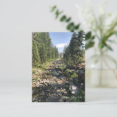 Nevada City California Postcard Postkarte (Stehend Vorderseite)