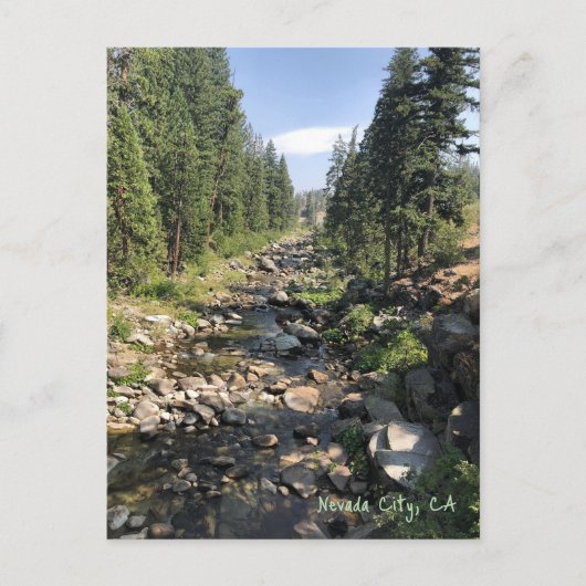 Nevada City California Postcard Postkarte (Vorderseite)