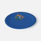 Nevada-Flagge Pappteller (Schrägansicht)