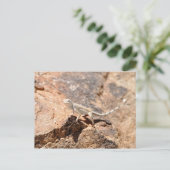 Nevada Lizard sieht dich an! Postkarte (Stehend Vorderseite)